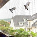 Best Bird Safety Netting in Dubai for Balconies and Windows