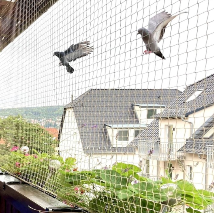 Best Bird Safety Netting in Dubai for Balconies and Windows
