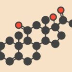 Why US Domestic Steroids Are Becoming the Preferred Choice for Fitness Lovers