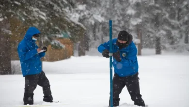 Your Snow Metrics Look Great
